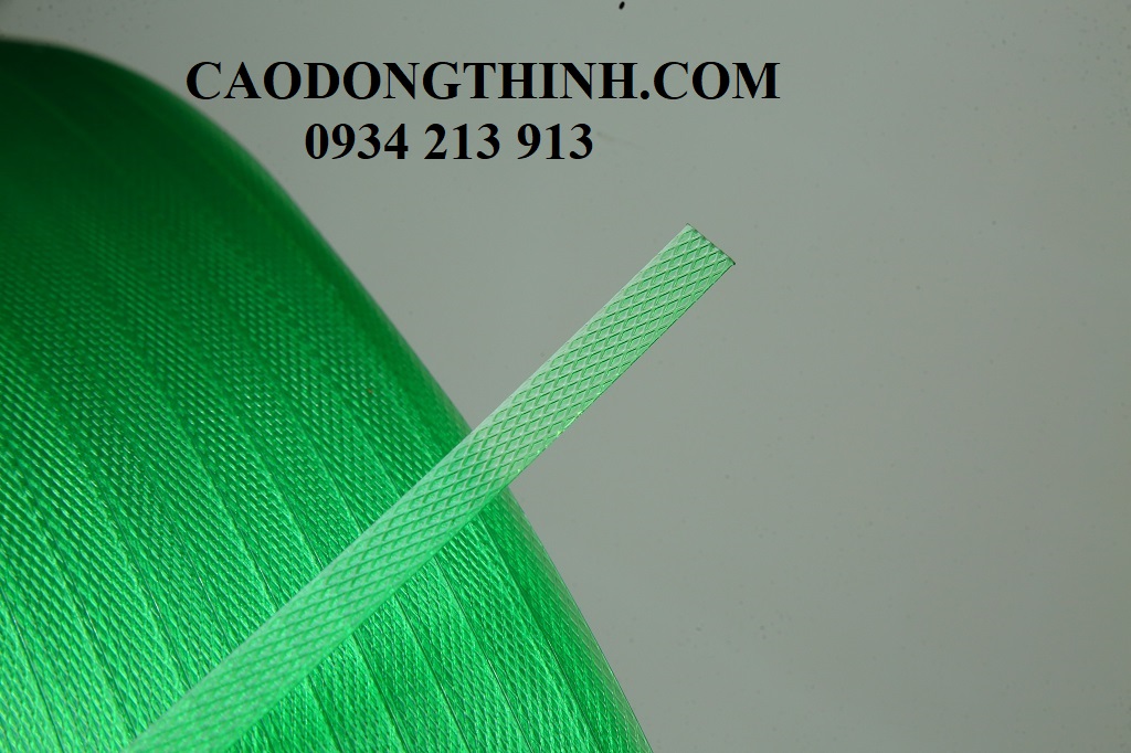 day-dai-pet-binh-duong