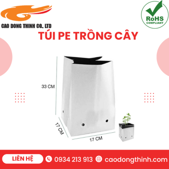 túi pe trồng cây cao đông thịnh
