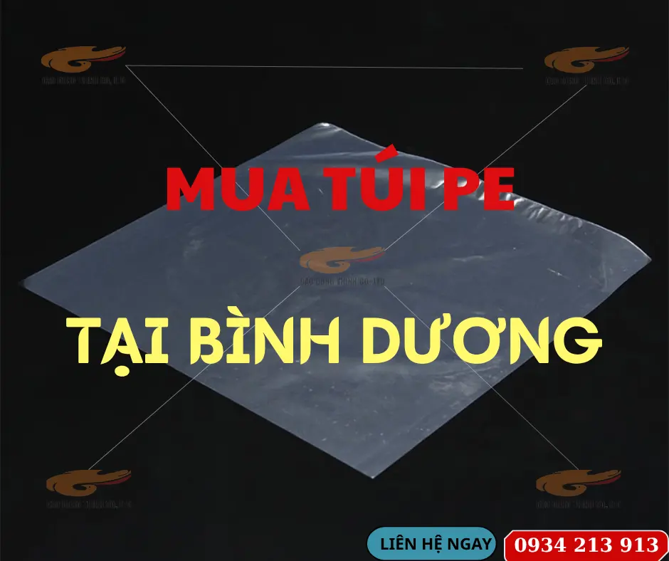 Xưởng sản xuất túi PE Bình Dương – Giá sỉ, giao nhanh 2H